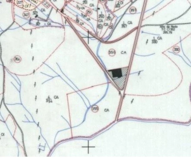 Armazém para Venda em Crato e Mártires, Flor da Rosa e Vale do Peso Foto 14