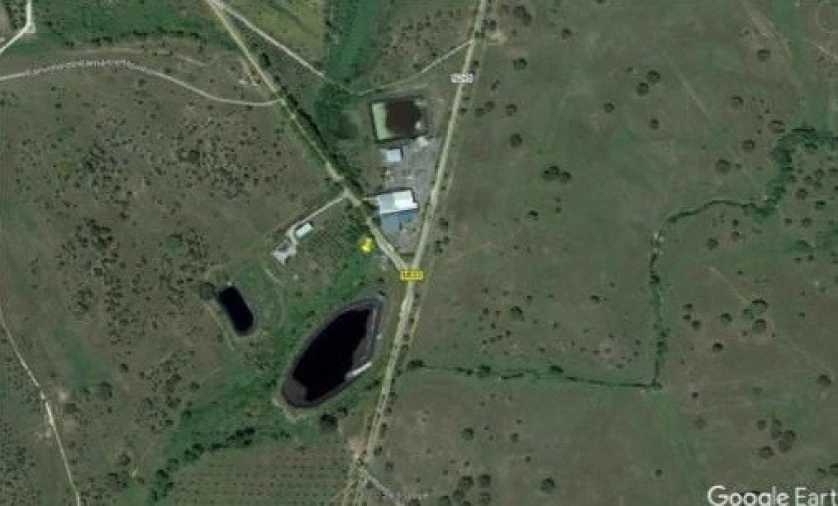 Armazém para Venda em Crato e Mártires, Flor da Rosa e Vale do Peso Foto 15