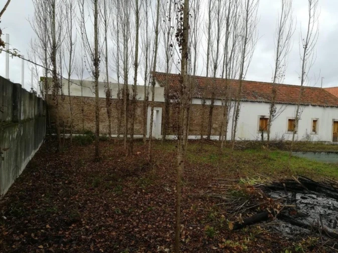 Moradia T6 para Venda em Santa Margarida da Coutada Foto 9