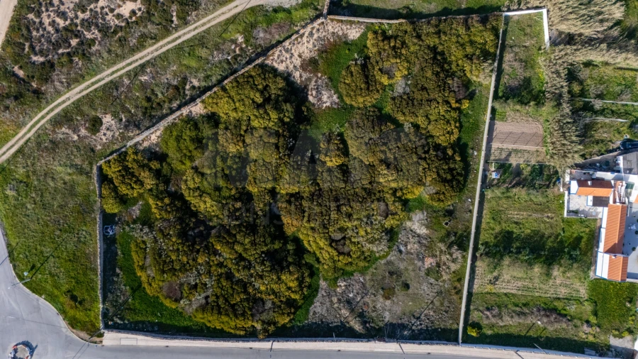 Terreno para Venda em Peniche Foto 5