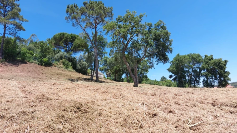 Terreno para Venda em Salir de Matos Foto 3