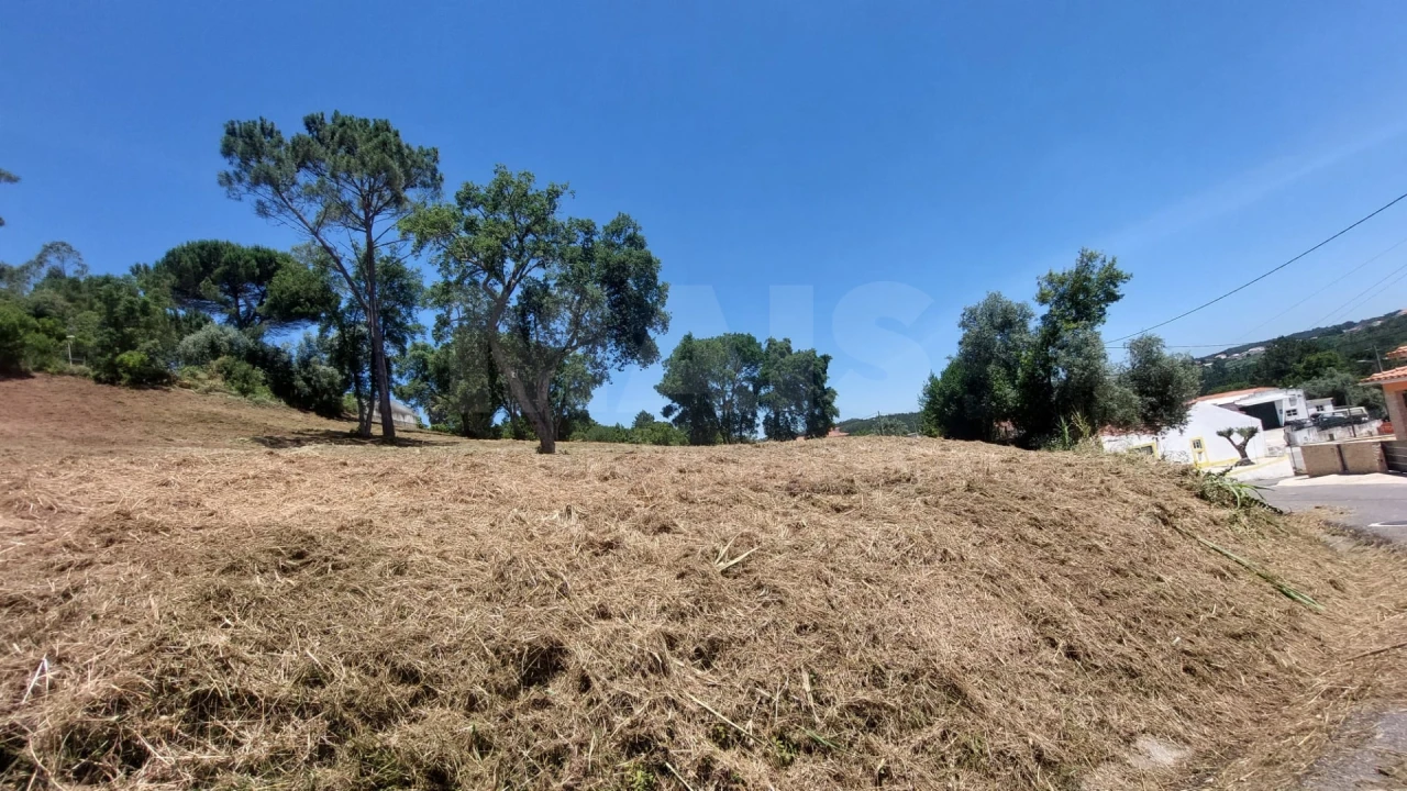 Terreno para Venda em Salir de Matos Foto 4