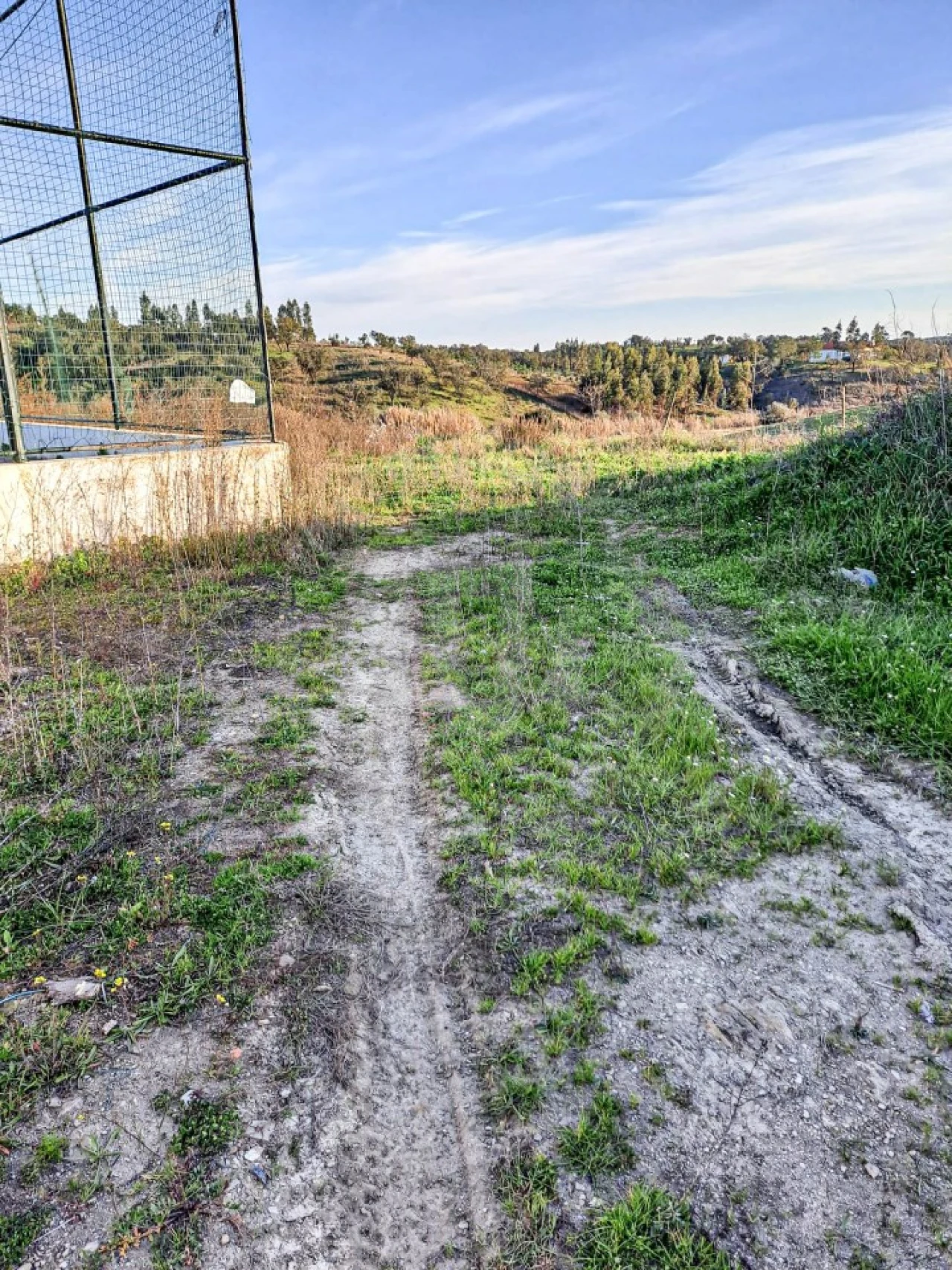 Quinta para Venda em Abela Foto 5