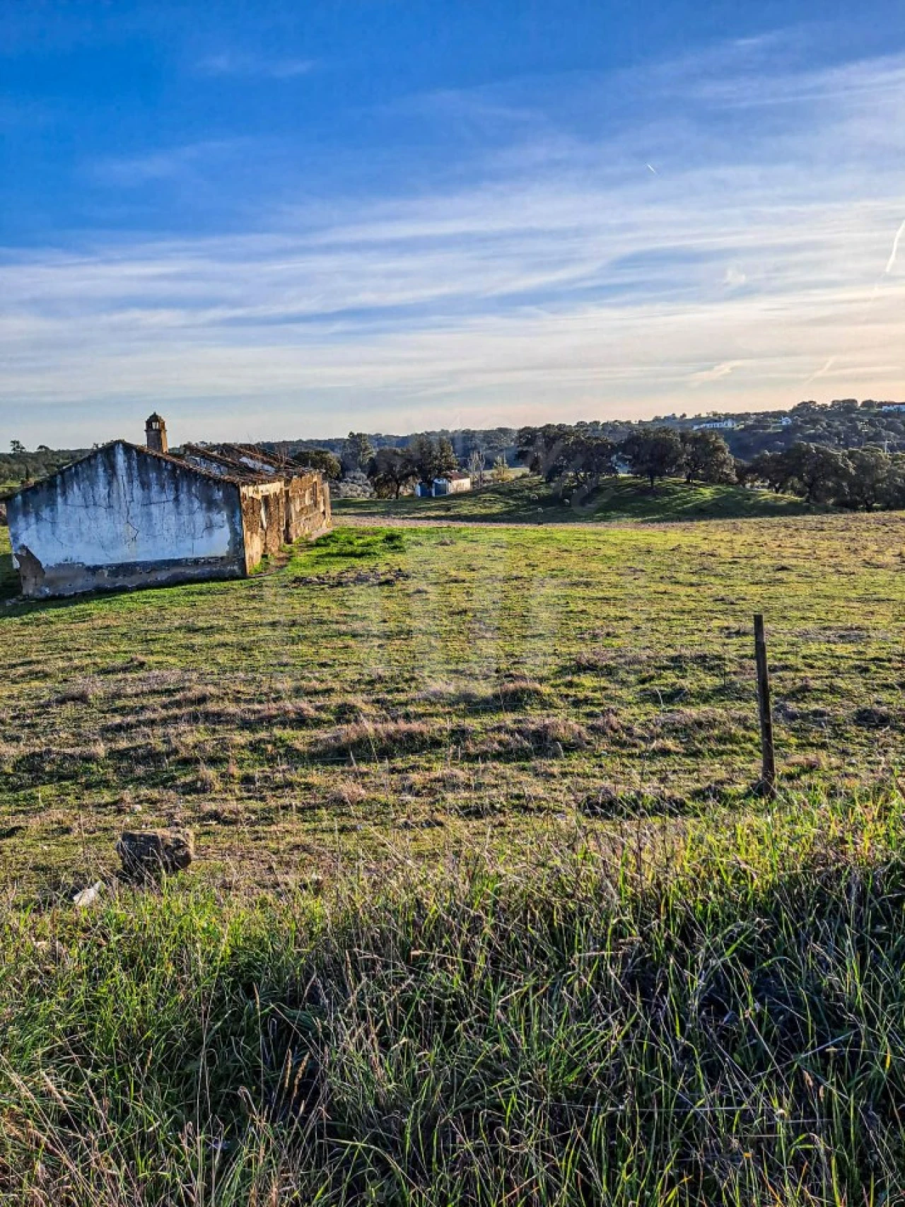 Quinta para Venda em Abela Foto 11