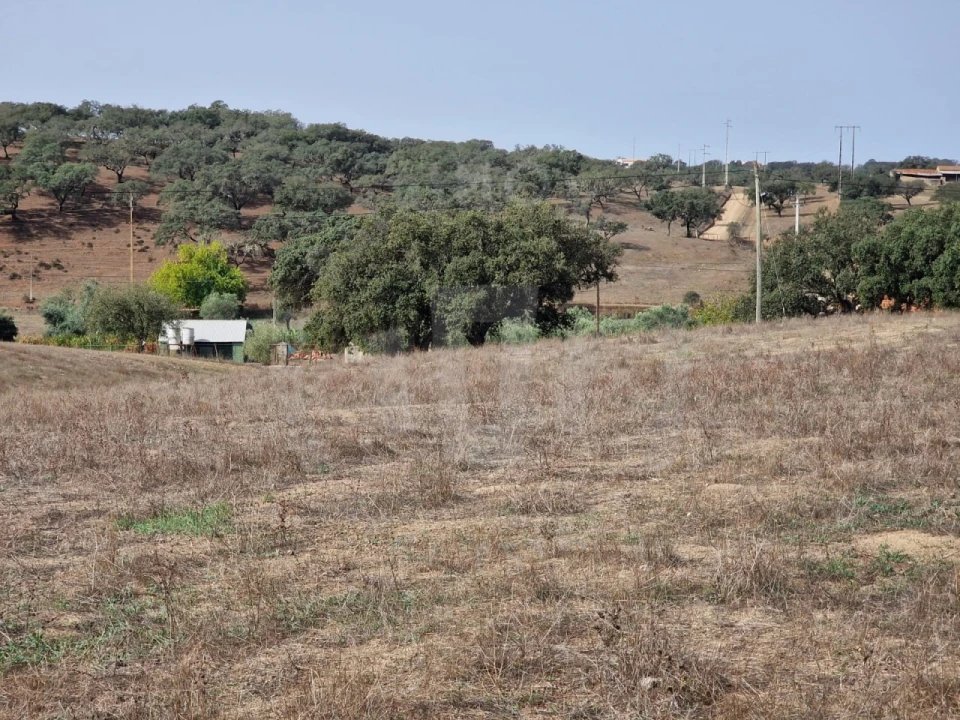 Quinta para Venda em Abela Foto 14
