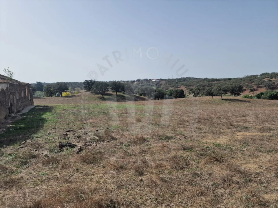 Quinta para Venda em Abela Foto 17