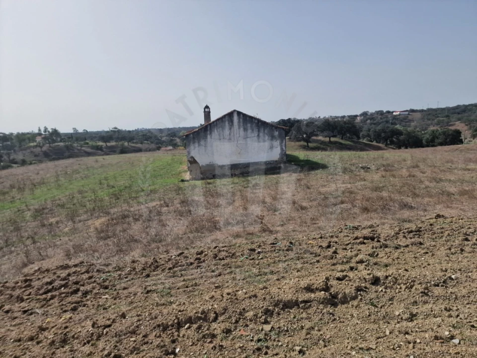 Quinta para Venda em Abela Foto 18