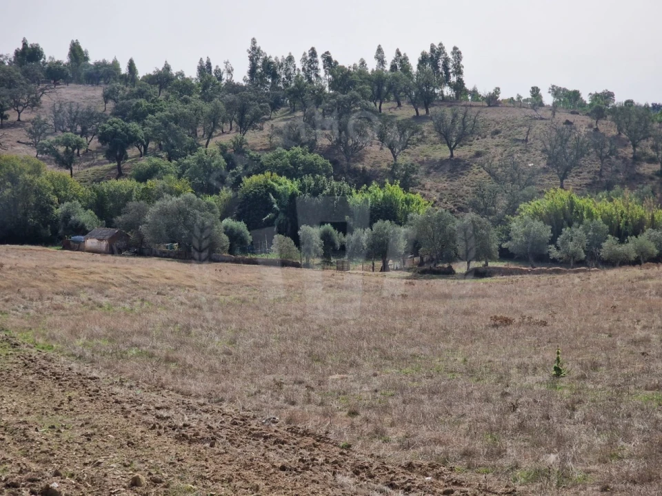 Quinta para Venda em Abela Foto 23