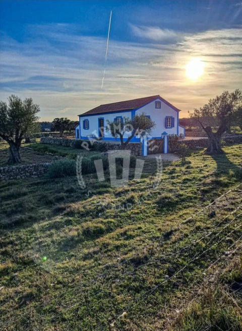 Quinta para Venda em Abela