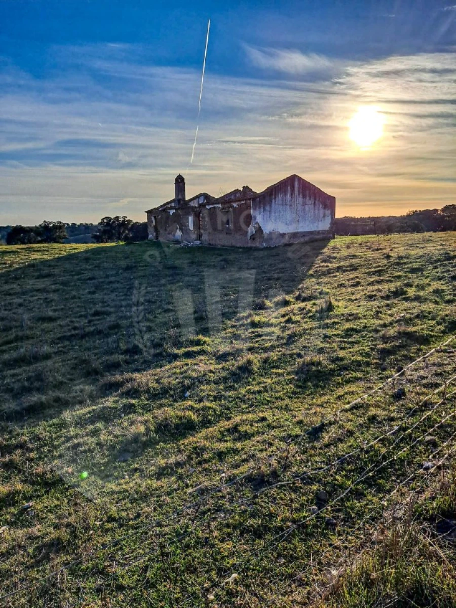 Quinta para Venda em Abela Foto 2