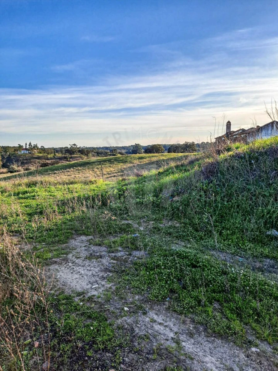 Quinta para Venda em Abela Foto 3