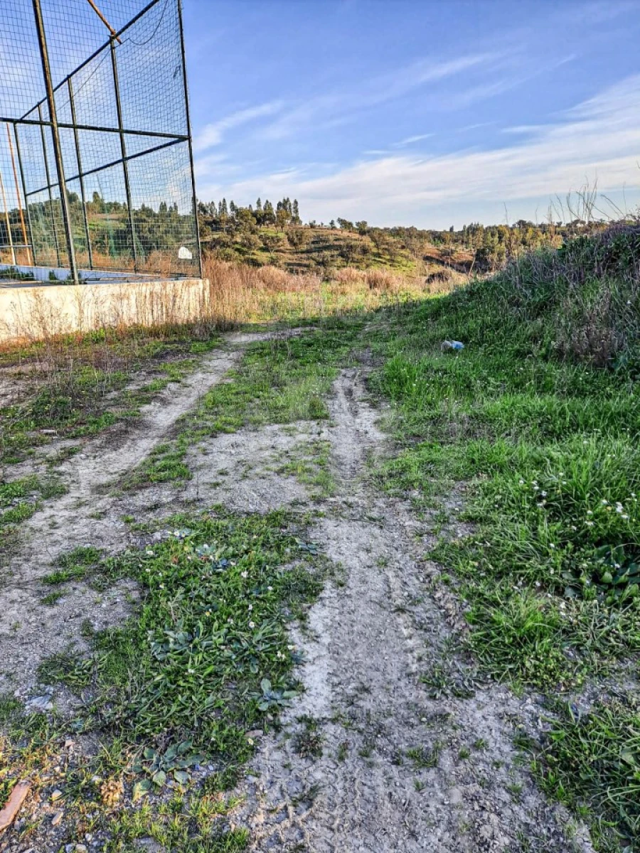Quinta para Venda em Abela Foto 4