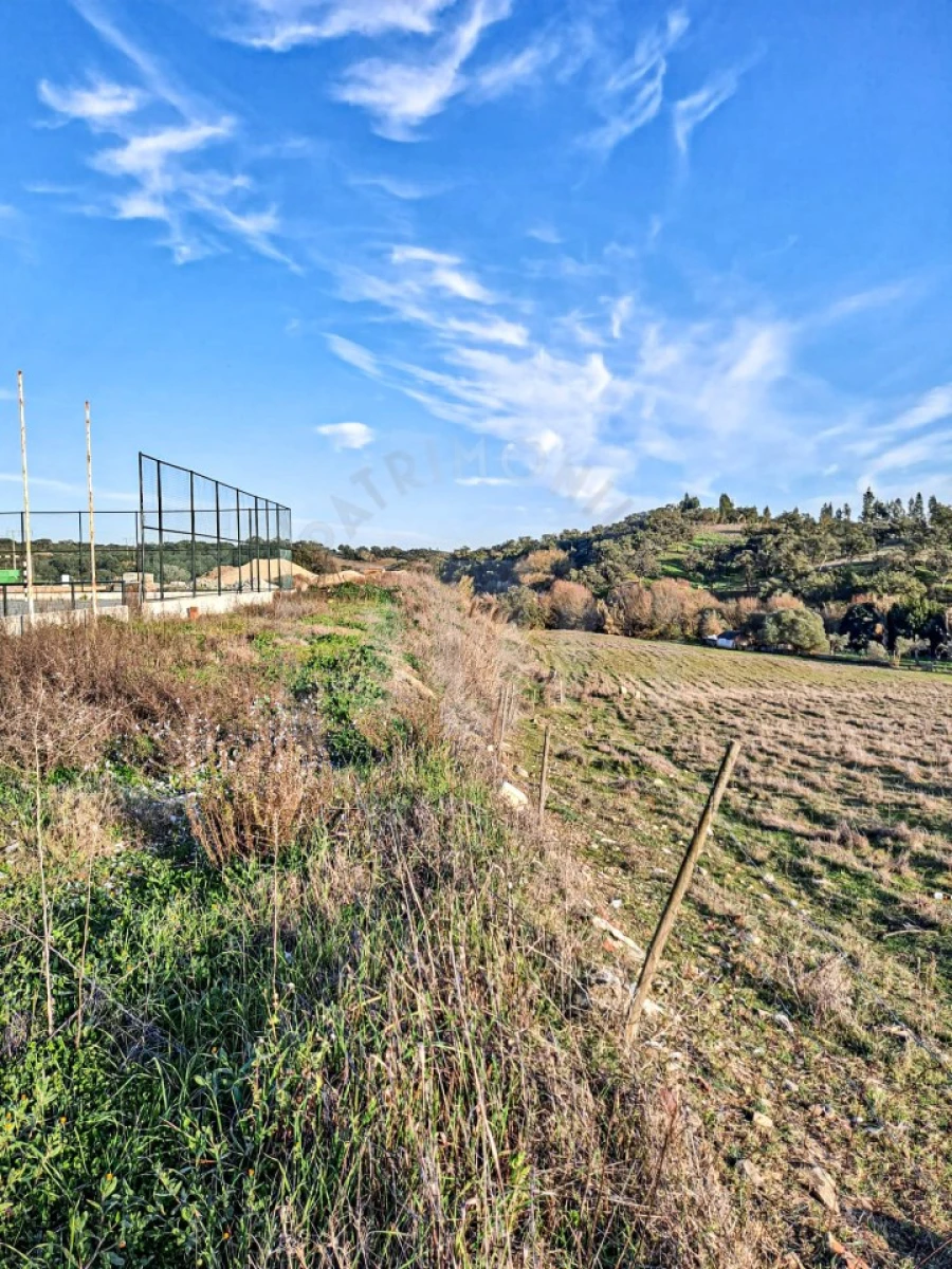 Quinta para Venda em Abela Foto 6