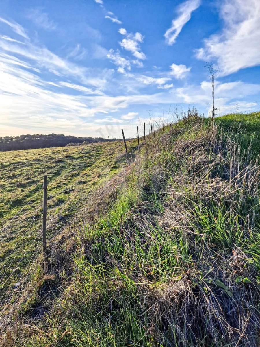Quinta para Venda em Abela Foto 7