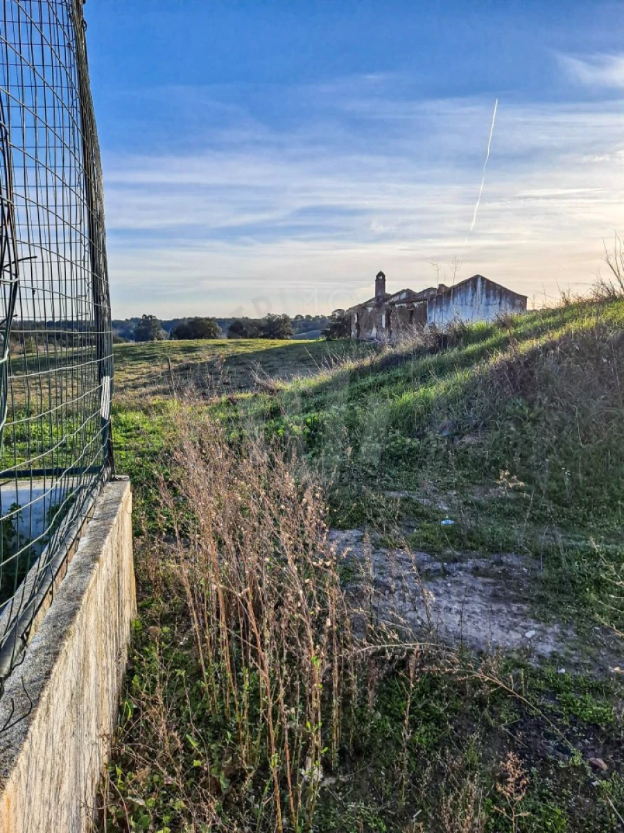 Quinta para Venda em Abela Foto 8