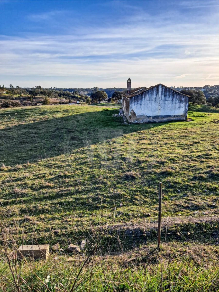 Quinta para Venda em Abela Foto 9