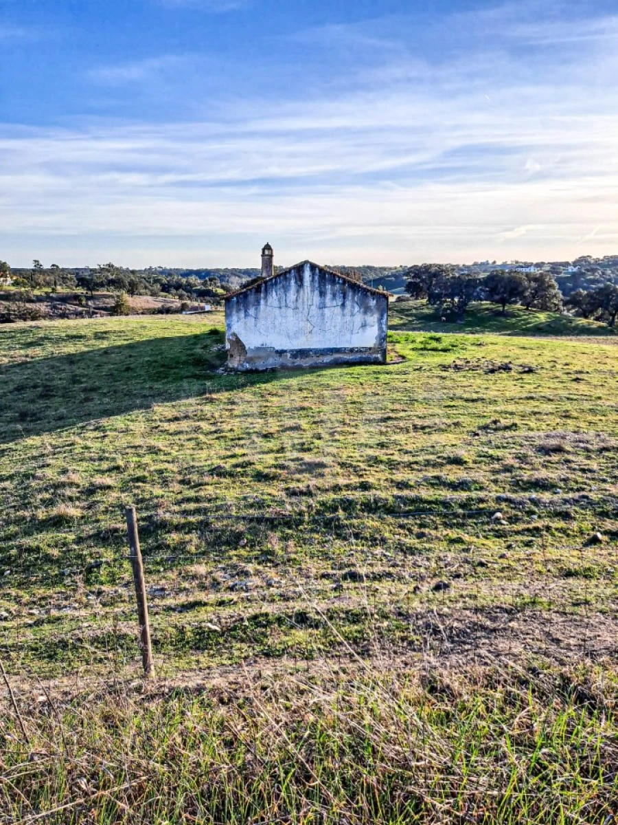 Quinta para Venda em Abela Foto 10