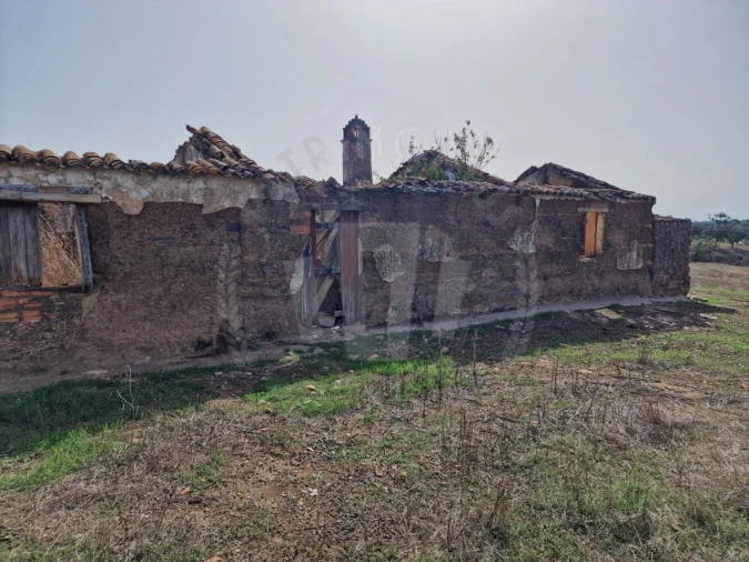 Quinta para Venda em Abela Foto 13