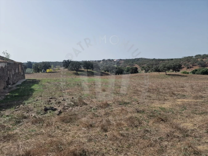 Quinta para Venda em Abela Foto 17