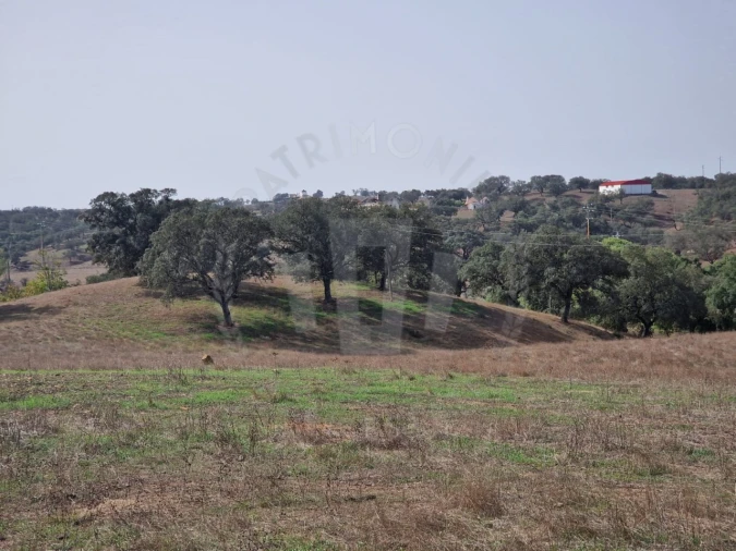 Quinta para Venda em Abela Foto 19