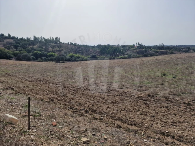 Quinta para Venda em Abela Foto 21