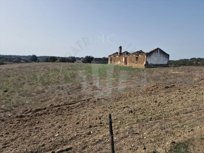 Quinta para Venda em Abela Foto 22