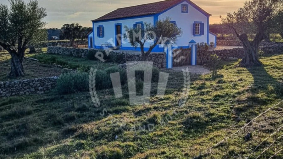 Quinta para Venda em Abela
