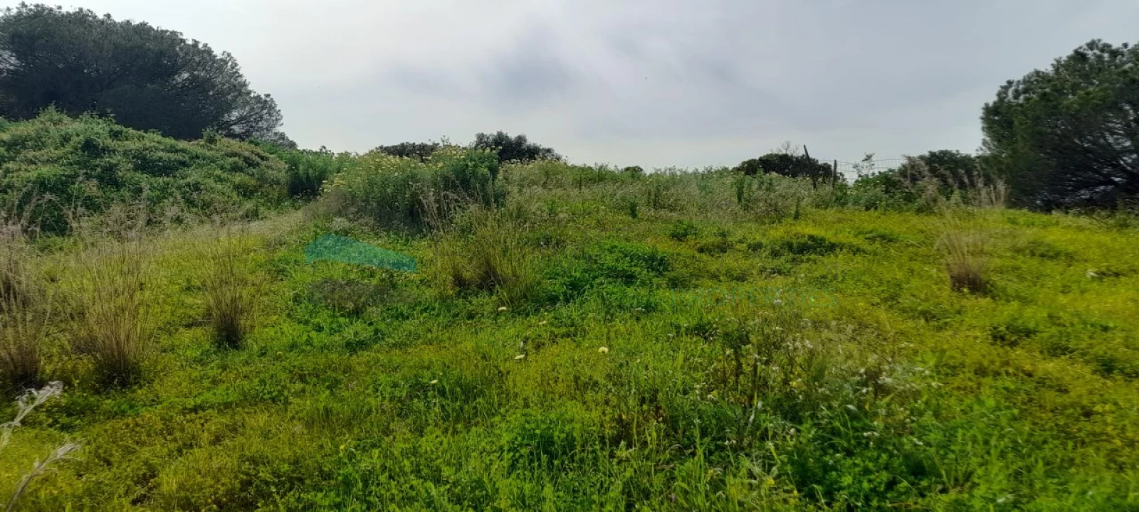 Terreno Misto para Venda em Paderne Foto 5