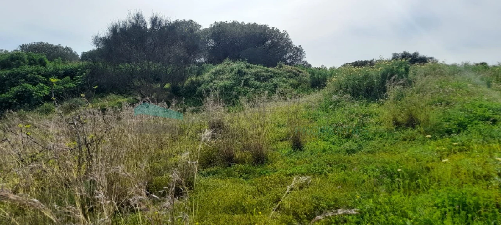 Terreno Misto para Venda em Paderne Foto 6