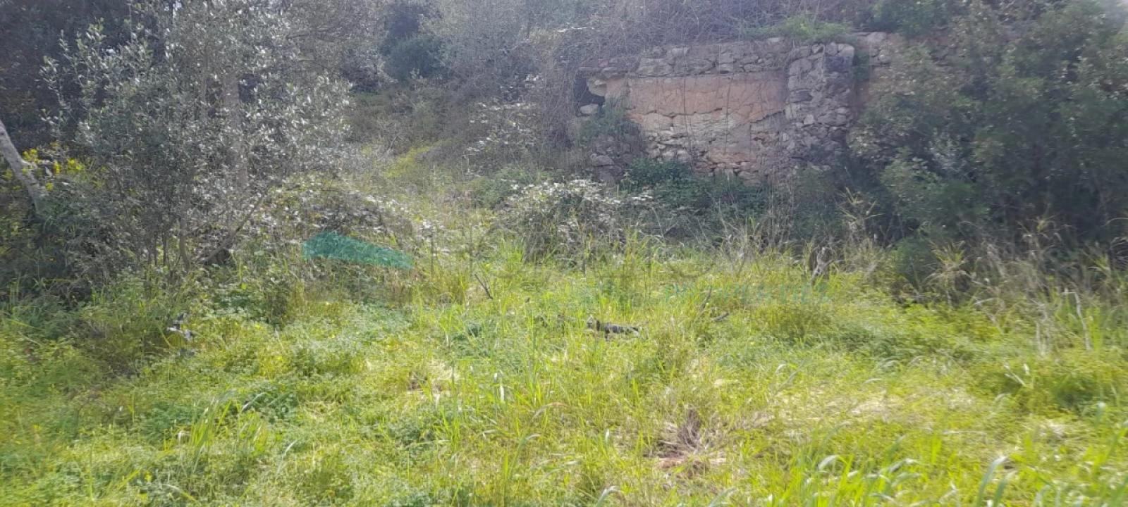 Terreno Misto para Venda em Paderne Foto 20