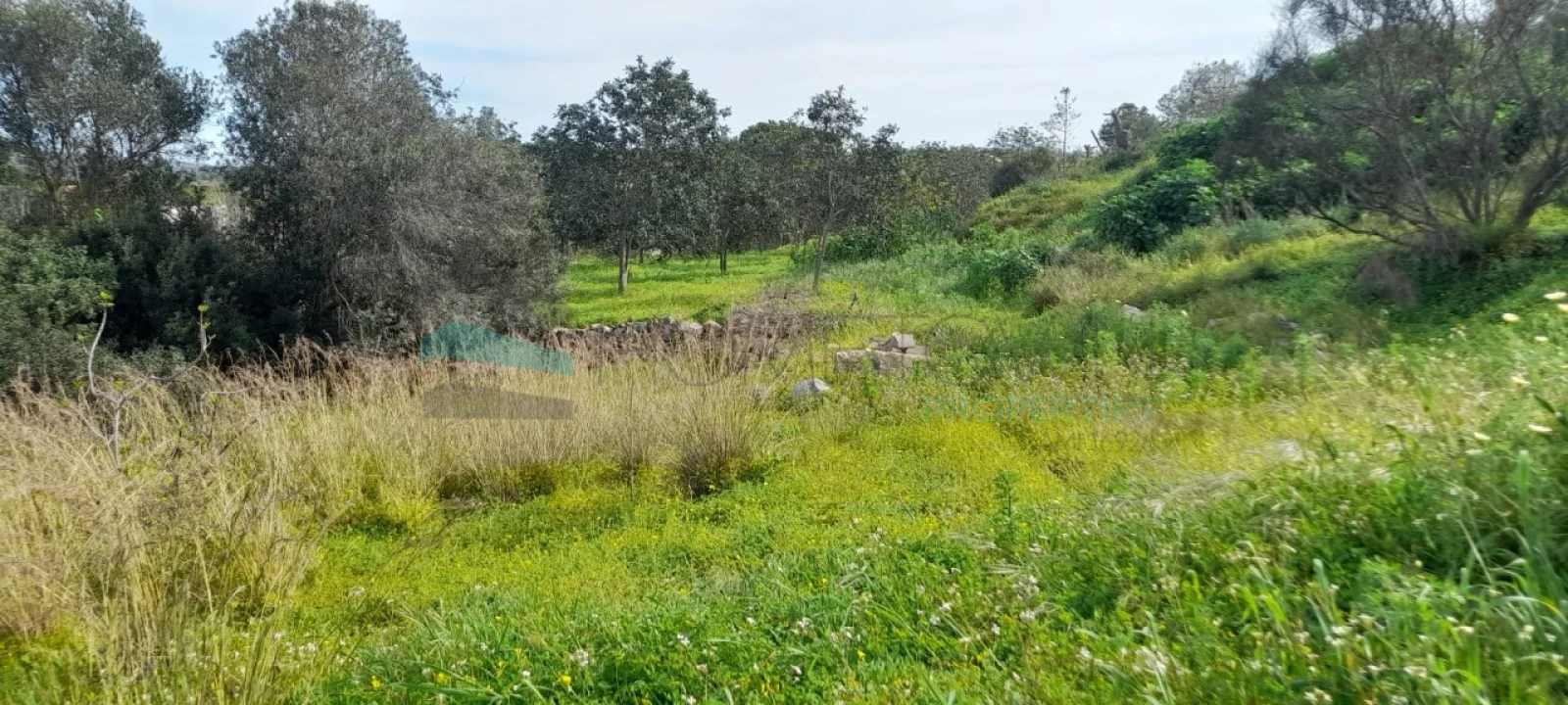 Terreno Misto para Venda em Paderne Foto 24