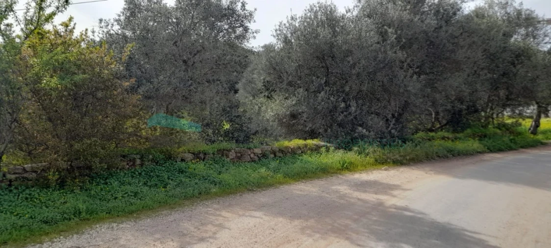 Terreno Misto para Venda em Paderne Foto 2