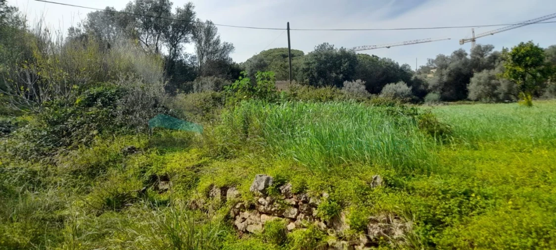Terreno Misto para Venda em Paderne Foto 14