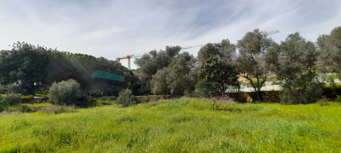 Terreno Misto para Venda em Paderne Foto 15