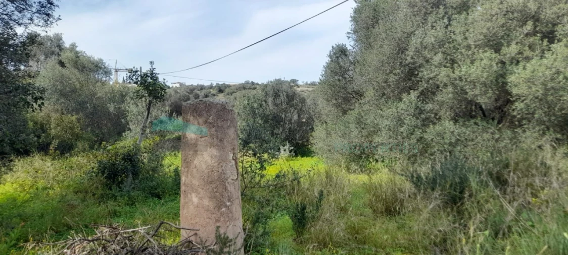 Terreno Misto para Venda em Paderne Foto 18