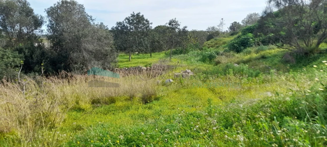 Terreno Misto para Venda em Paderne Foto 24