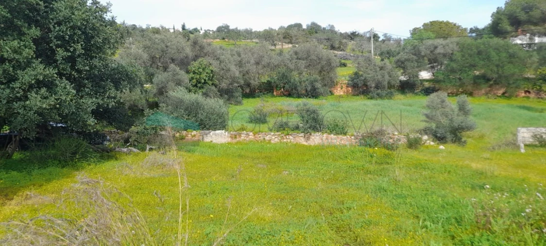 Terreno Misto para Venda em Paderne Foto 27