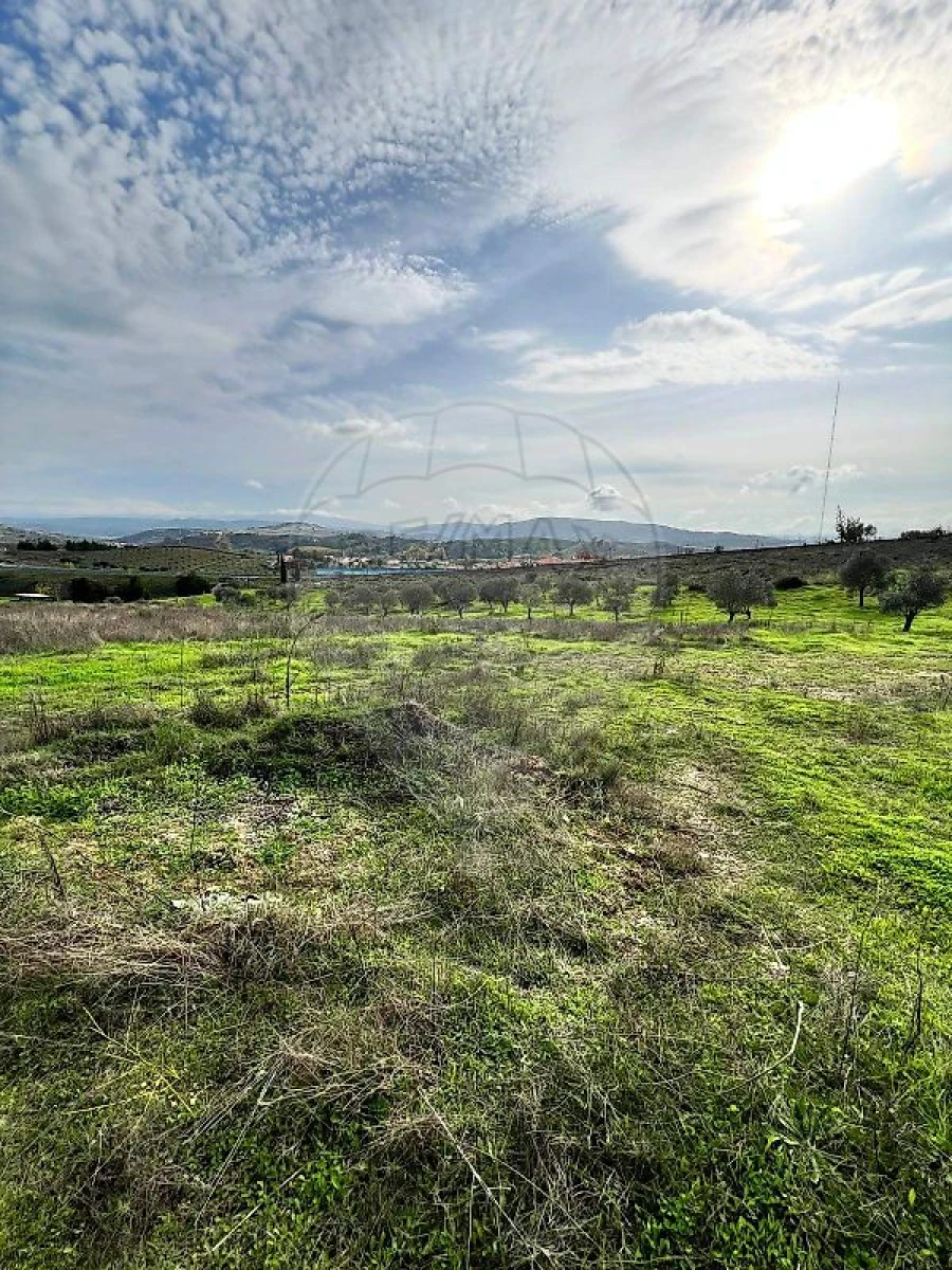 Terreno para Venda em Carvalhais Foto 4