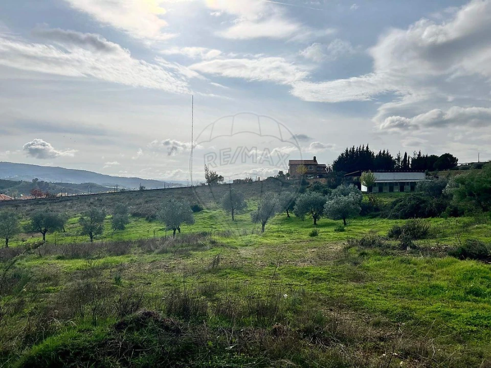 Terreno para Venda em Carvalhais Foto 2
