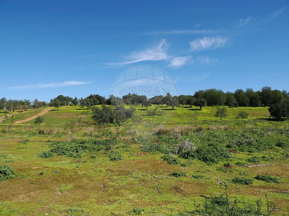 Quinta T3 para Venda em Serpa (Salvador e Santa Maria) Foto 14