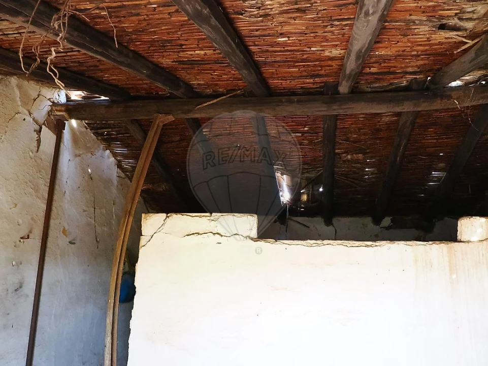 Quinta T3 para Venda em Serpa (Salvador e Santa Maria) Foto 5