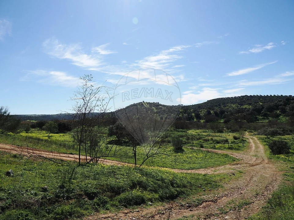 Quinta T3 para Venda em Serpa (Salvador e Santa Maria) Foto 12