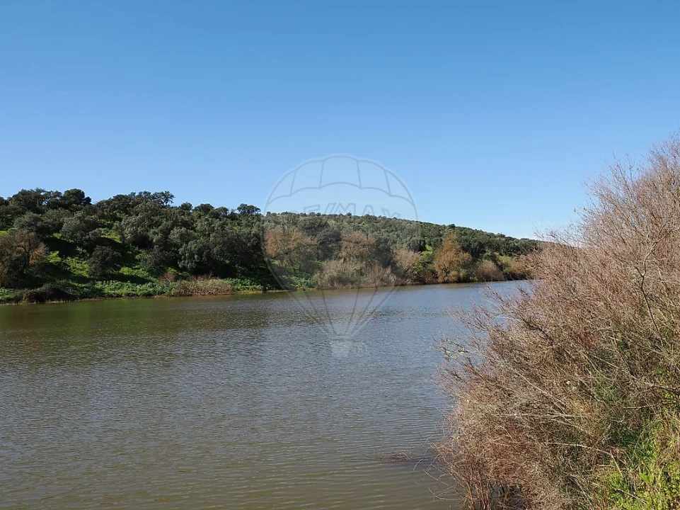 Quinta T3 para Venda em Serpa (Salvador e Santa Maria) Foto 10