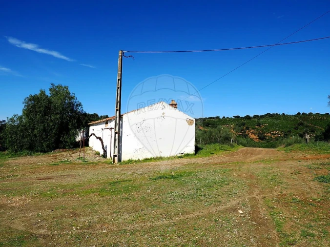 Quinta T3 para Venda em Serpa (Salvador e Santa Maria) Foto 21