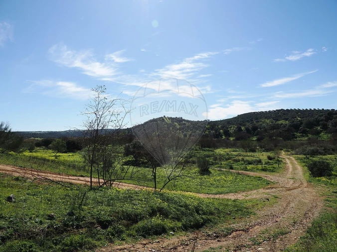 Quinta T3 para Venda em Serpa (Salvador e Santa Maria) Foto 12