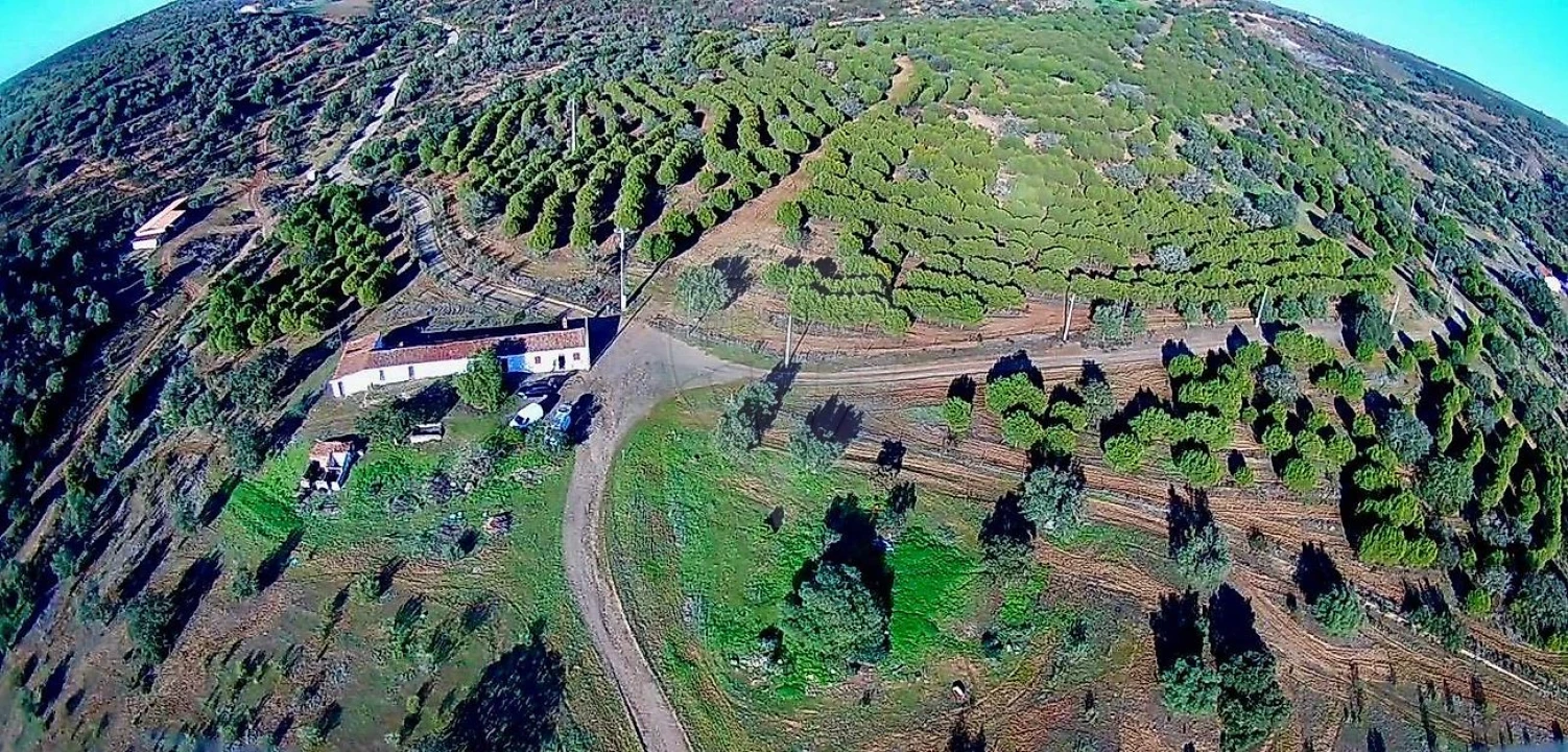 Quinta T3 para Venda em Serpa (Salvador e Santa Maria) Foto 15