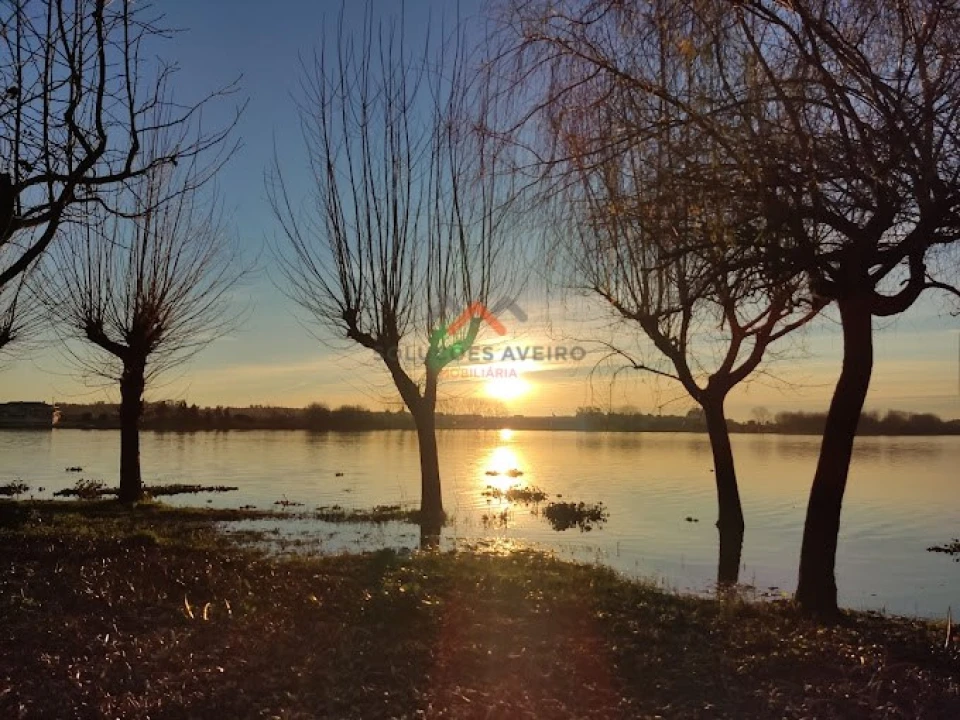 Negócio para Venda em Travassô e Óis da Ribeira Foto 7