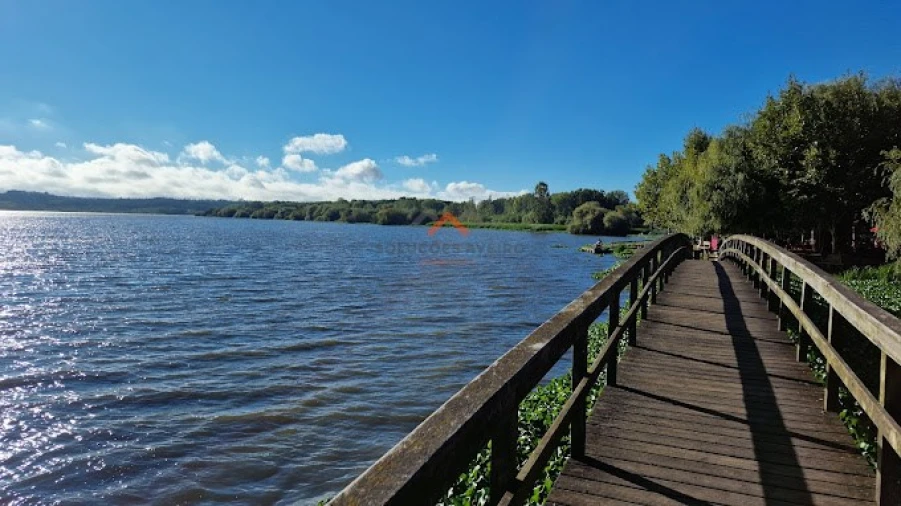 Negócio para Venda em Travassô e Óis da Ribeira Foto 5