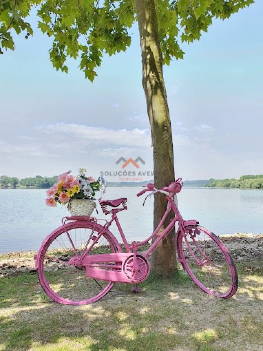 Negócio para Venda em Travassô e Óis da Ribeira Foto 10