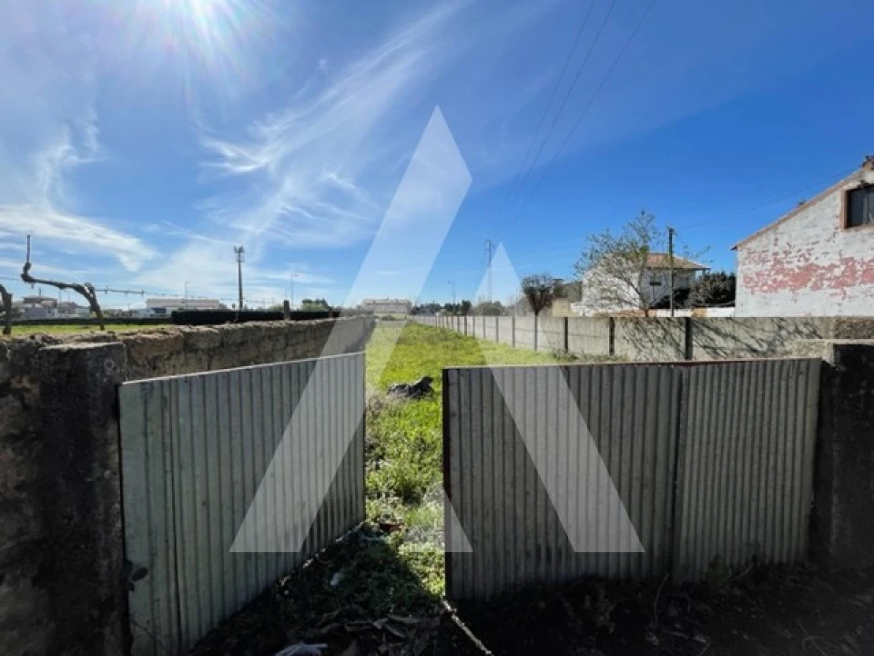 Terreno para Venda em Trofa, Segadães e Lamas do Vouga Foto 6